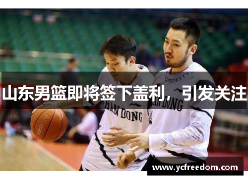 山东男篮即将签下盖利，引发关注